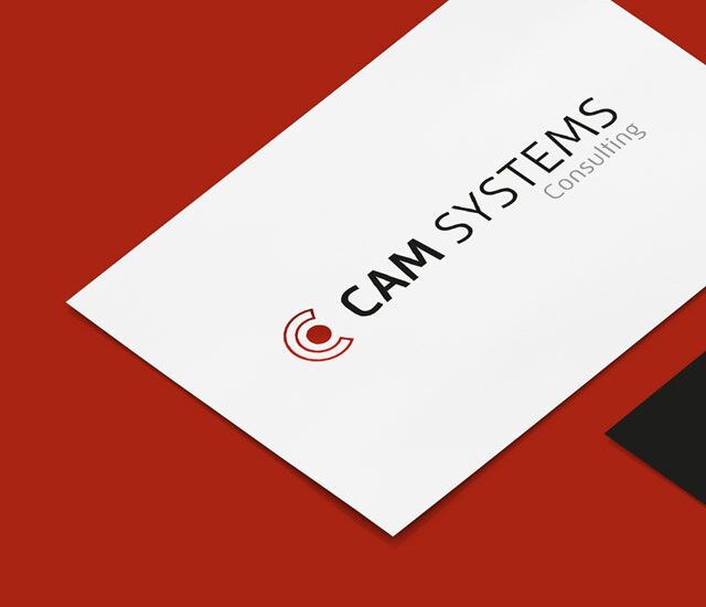 cam systems consulting münchen