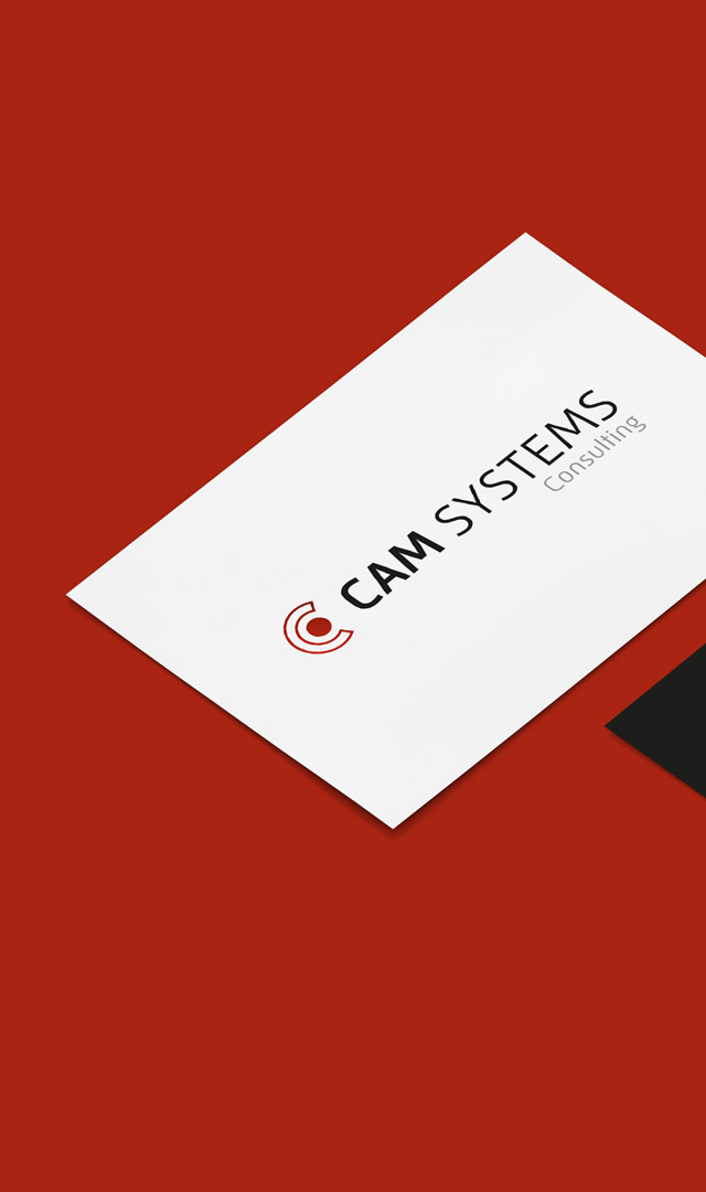 cam systems consulting münchen