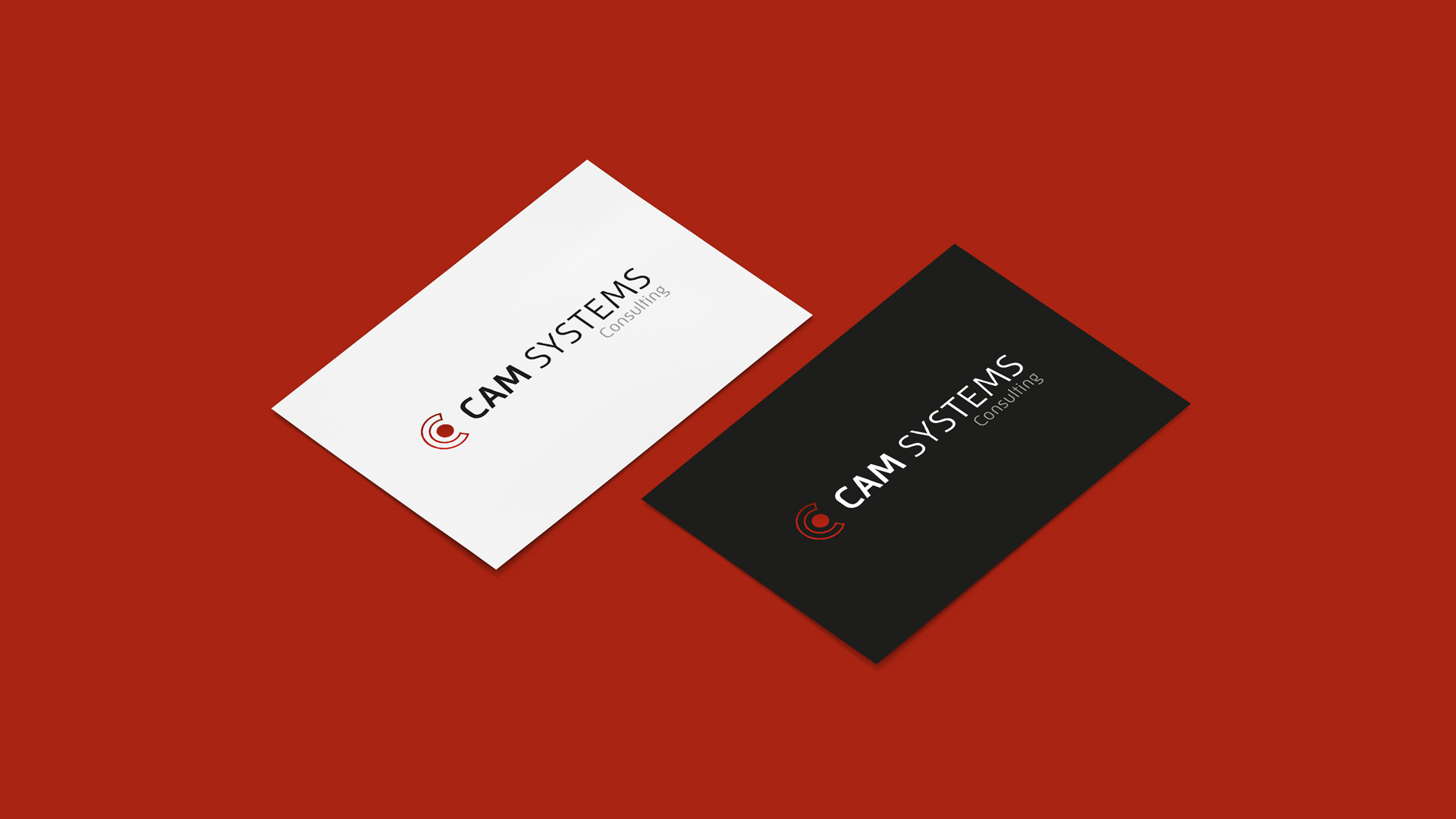 cam systems consulting münchen